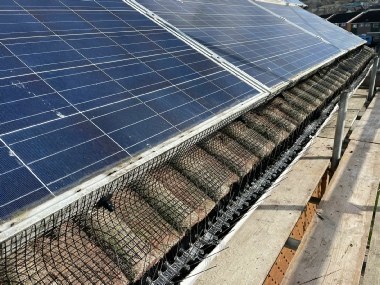 solar panel bird proofing